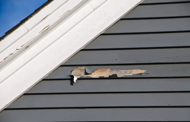 Best Custom Trim and Detailing for Siding  in Wilberforce, OH